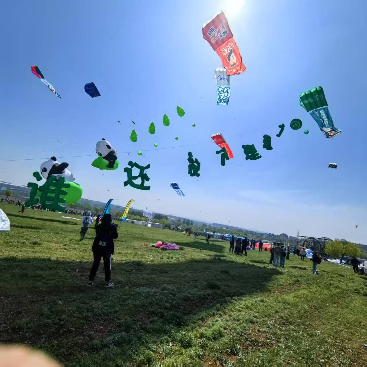 三沙市风筝批发风筝定制 - 价格